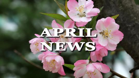 April Showers Bring May Kiwanis Flowers | April Newsletter