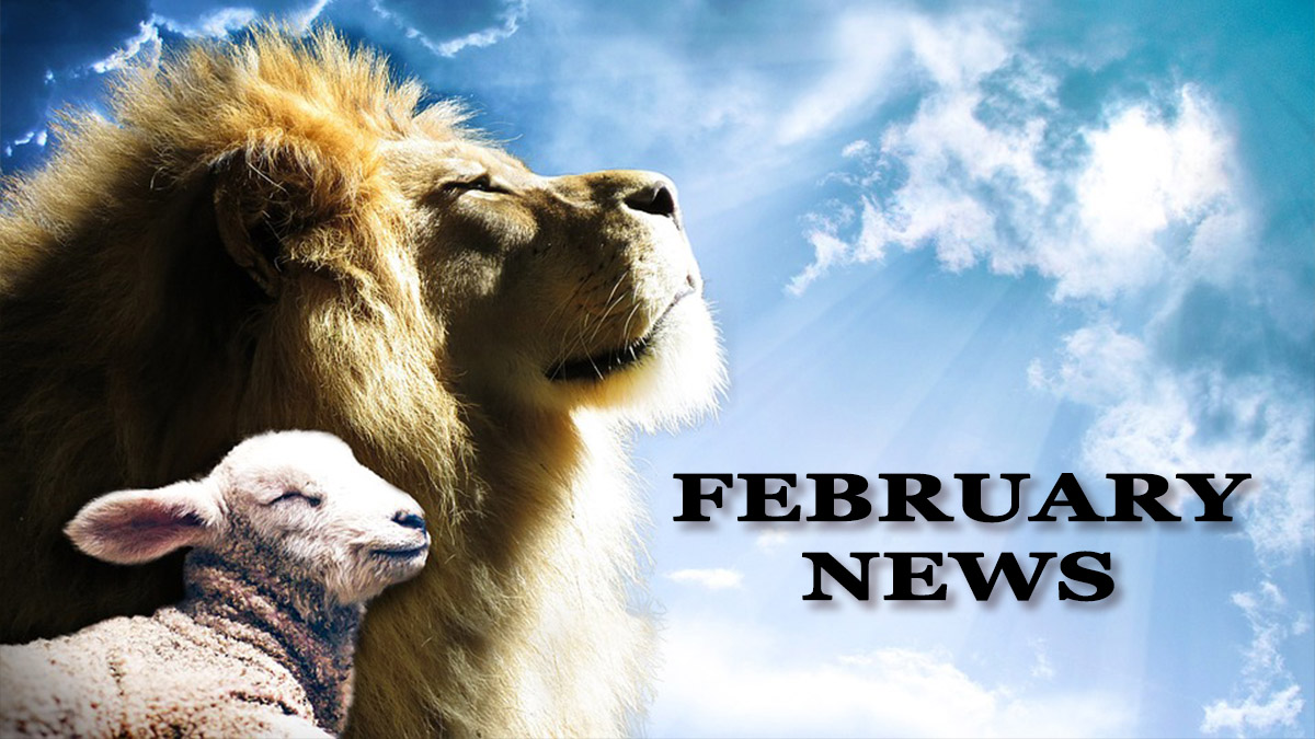 Lion or Lamb | February Newsletter