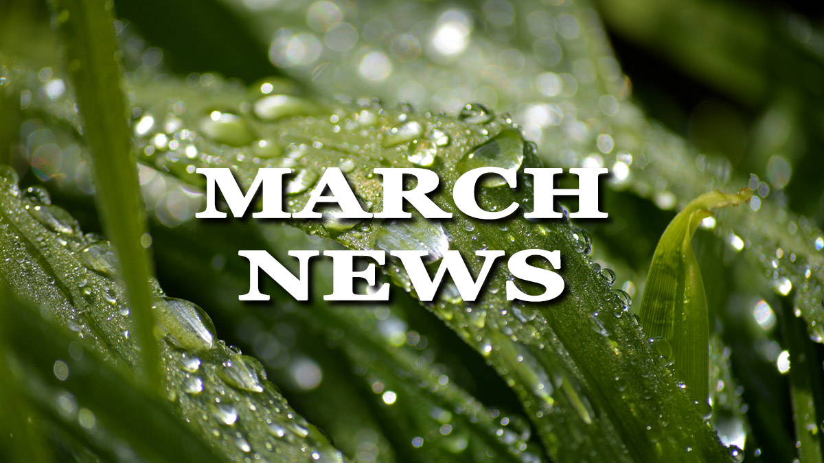 MT District News | March 2026