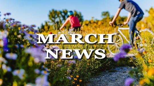 Spring Is In The Air | March Newsletter