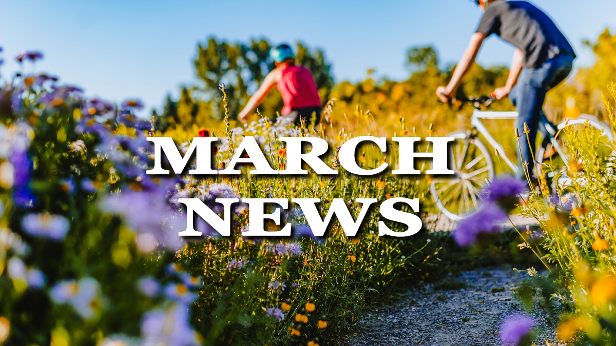 Spring Is In The Air | March Newsletter